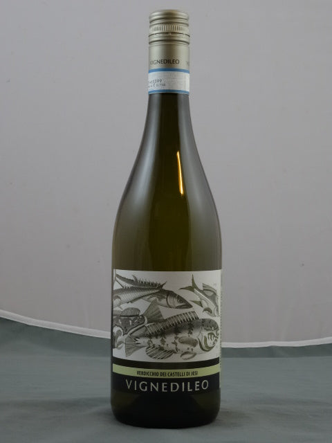 Verdicchio dei Castelli di Jesi Classico DOC 2024