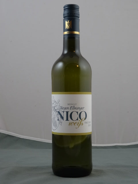 Nico D.Q. 2024