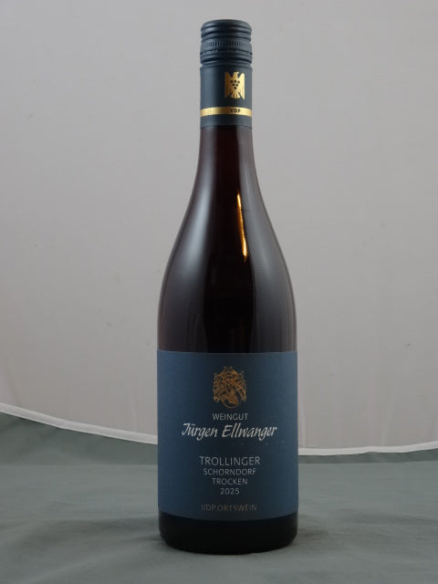 Schornforfer Trollinger D.Q. 2025